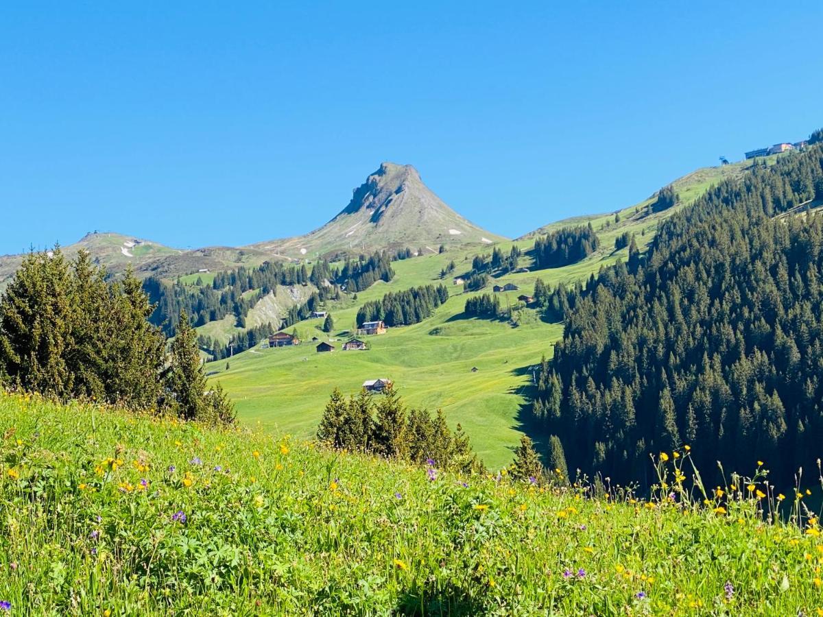 Hotel Garni Enzian Damüls Zewnętrze zdjęcie